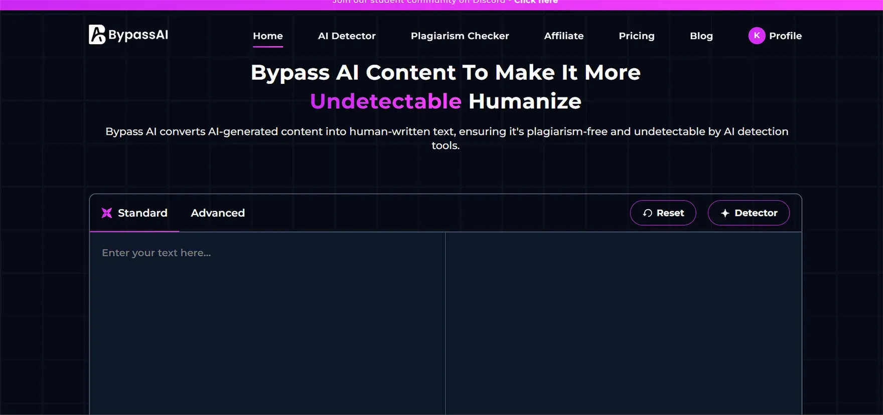 BypassAI IO