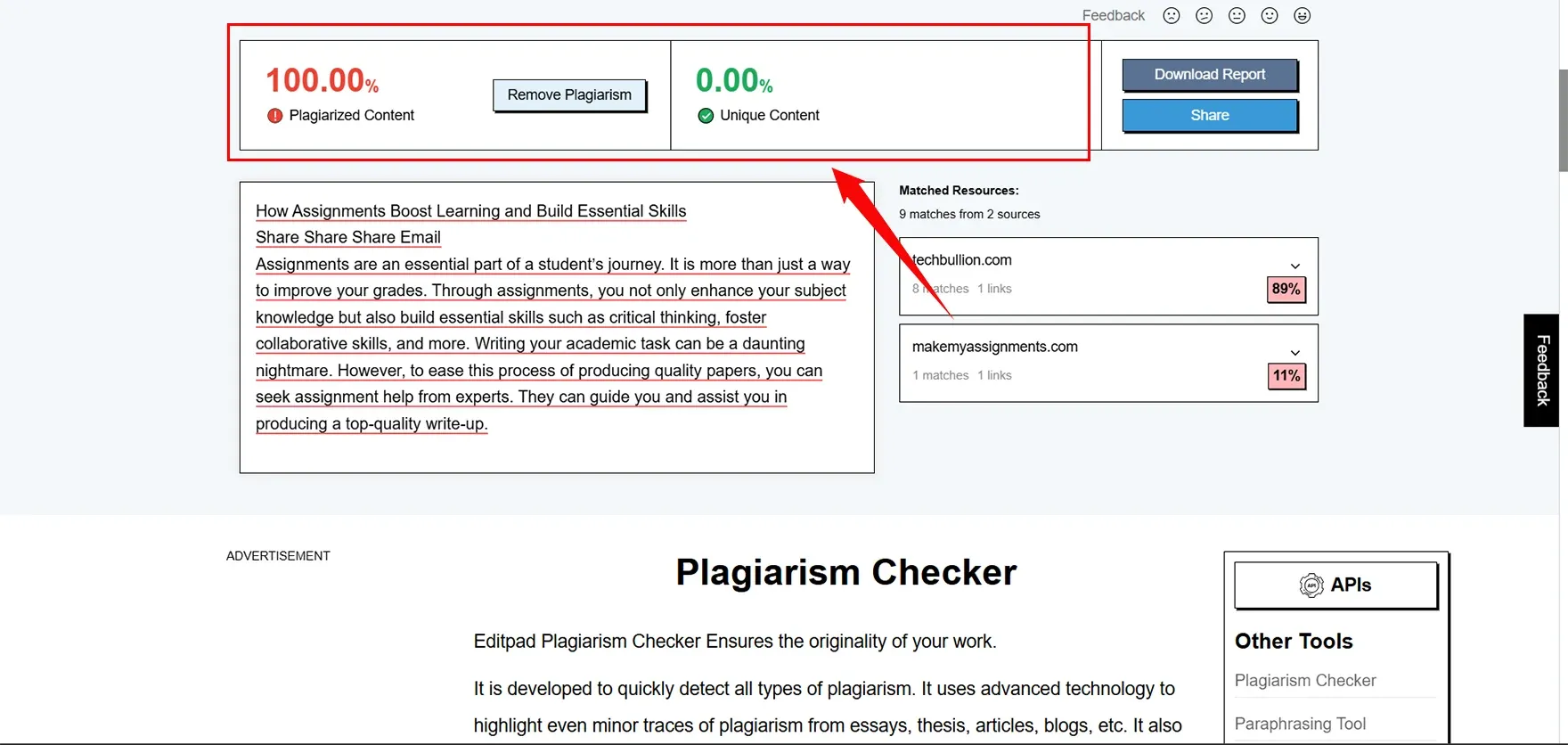 Editpad Plagiarism Checker