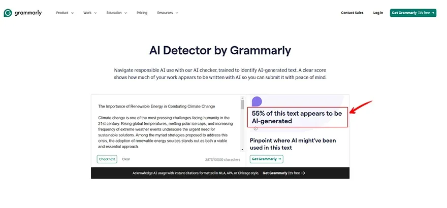 News Article Grammarly