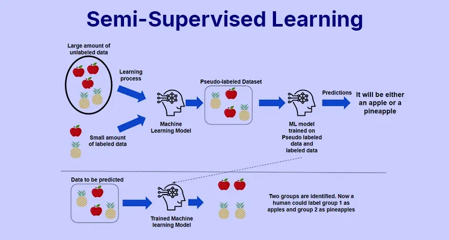 Semi-Supervised Learning.webp