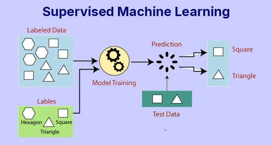 Supervised Machine Learning.webp