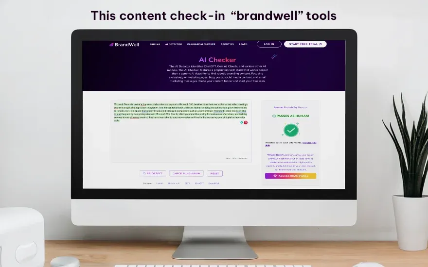 This content check-in  “brandwell” tools_.webp