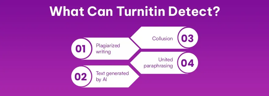 What Can Turnitin Detect