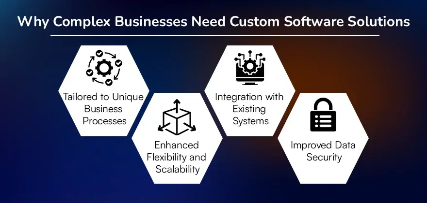 Why Complex Businesses Need Custom Software Solutions.webp