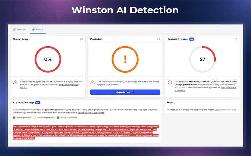 Winston AI Detection.webp