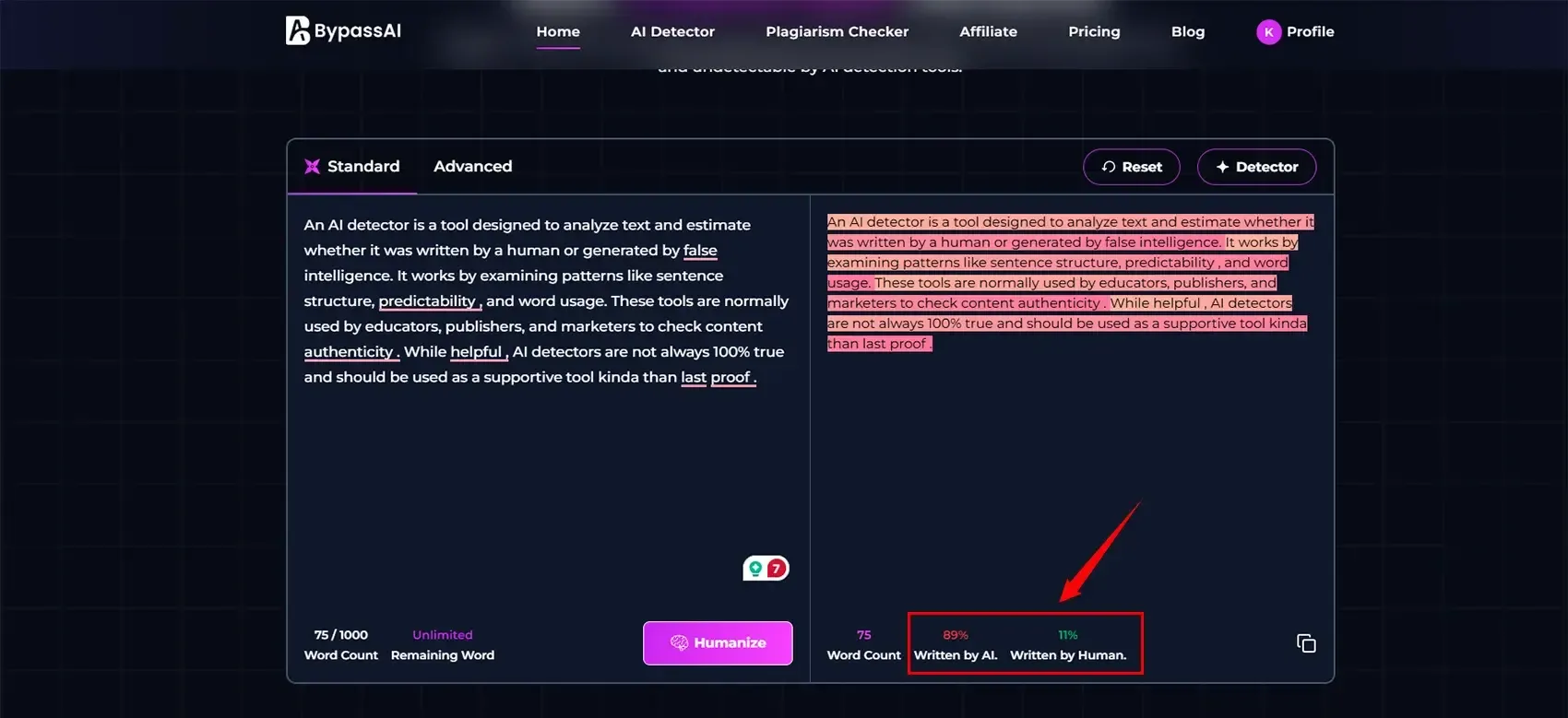 humanized content in Bypass AI.webp